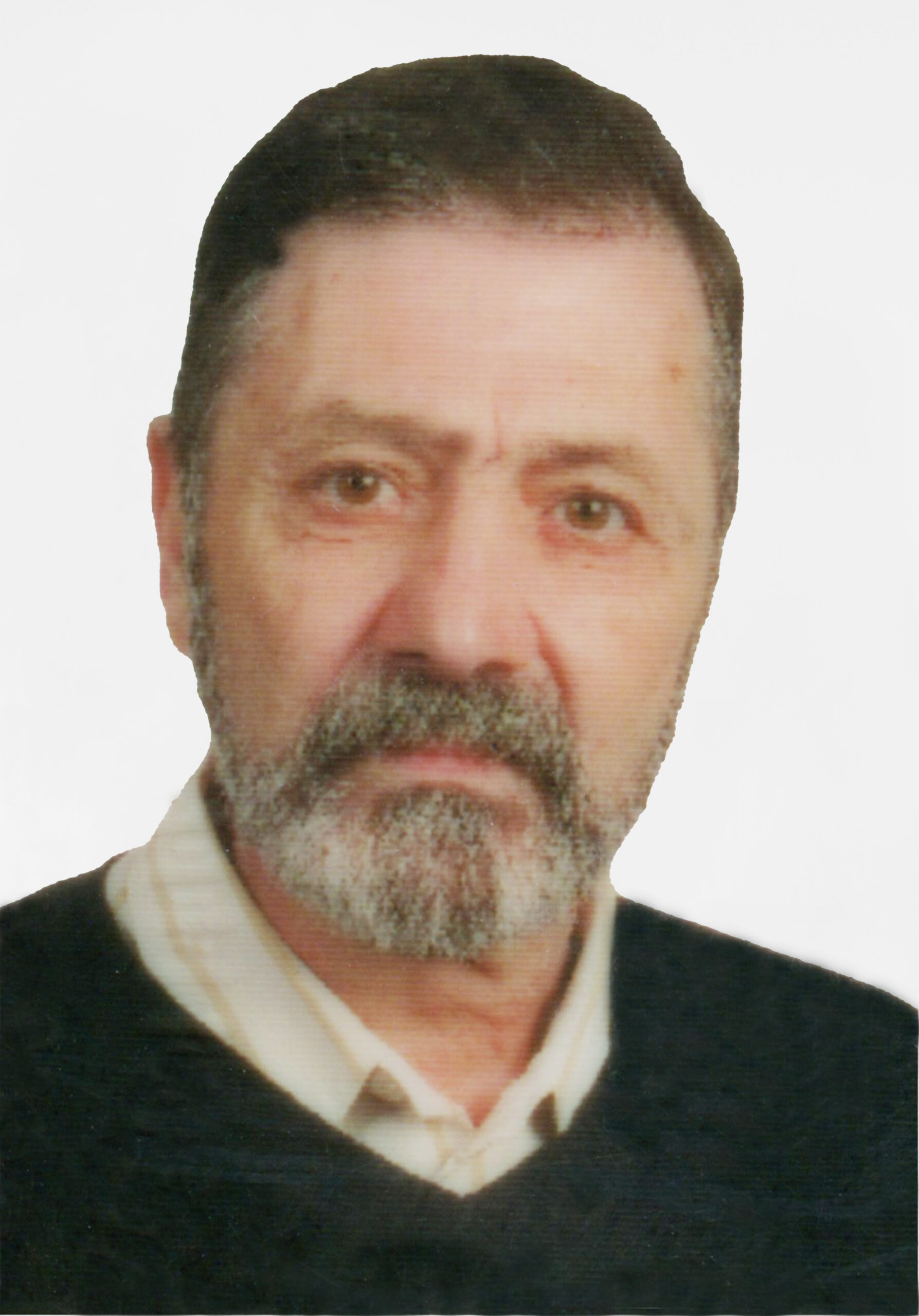 Manuel Francisco Fernandes da Silva